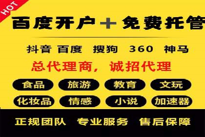 SEM托管服务案例：优化策略与效果展示